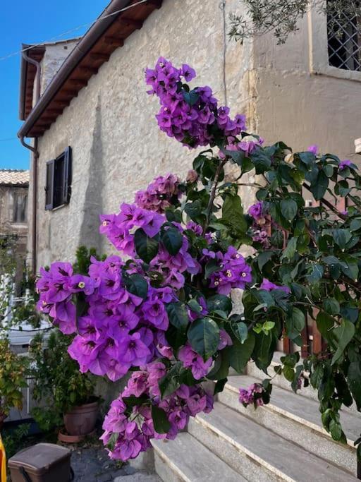 Appartement Adelaide Al Borgo. à Castelnuovo Di Porto Extérieur photo
